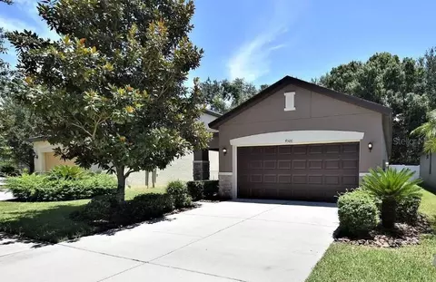 4506 Paper Mulberry Pl, Riverview, FL 33578