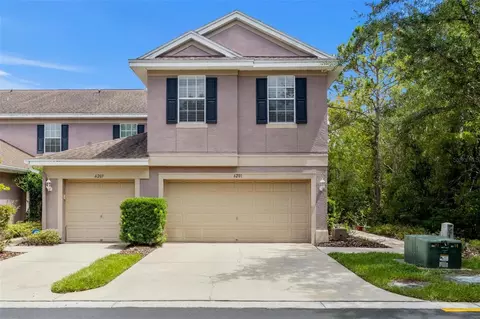 6201 Duck Key Ct, Tampa, FL 33625