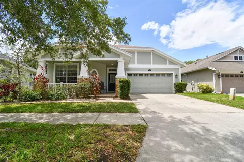 5014 Sky Blue, Lutz, FL 33558