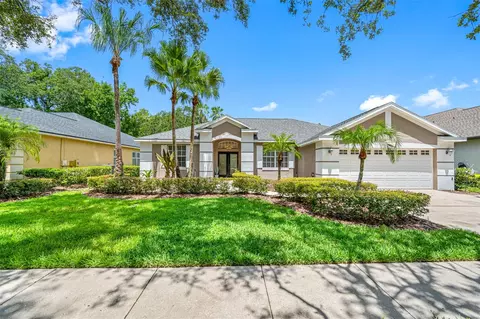 3517 Cordgrass Dr, Valrico, FL 33596