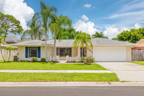 2235 Blue Tern Dr, Palm Harbor, FL 34683