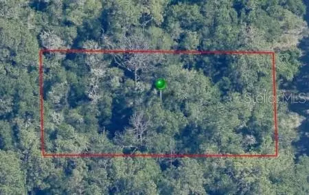 9466 N Irondale Rd, Dunnellon, FL 34434