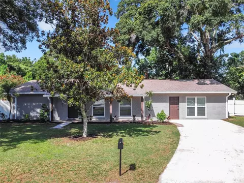 1201 Branda Vista Dr, Brandon, FL 33510