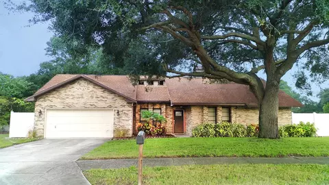 2370 Clark Cameron Dr, Dunedin, FL 34698