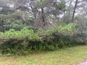 13285 Canada Goose Rd, Brooksville, FL 34614