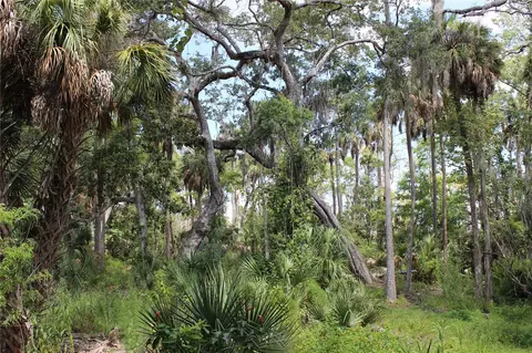 00 Prevatt Ln, Aripeka, FL 34679