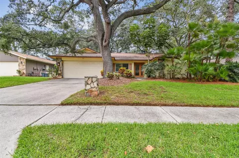 5 Fernery Ln, Safety Harbor, FL 34695