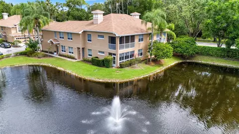4205 Preserve Pl, Palm Harbor, FL 34685
