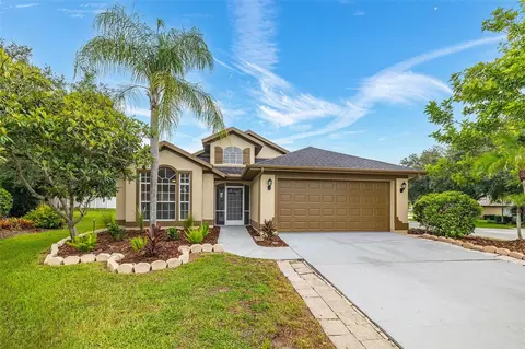 4053 Dickinson Pl, Land O Lakes, FL 34639