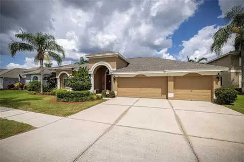 1609 Swamp Rose Ln, Trinity, FL 34655