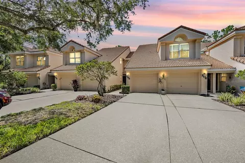 205 Clays Trl, Oldsmar, FL 34677