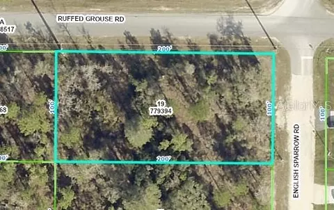 English Sparrow Road, Brooksville, FL 34614