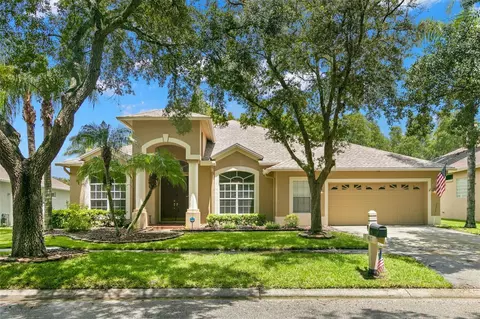 4817 Tea Rose Ct, Lutz, FL 33558