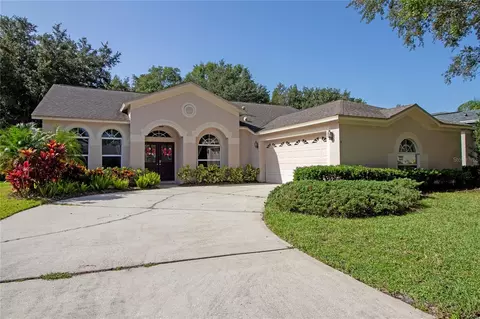 10221 Timberland Point Dr, Tampa, FL 33647