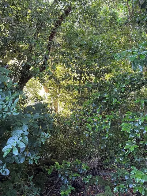 7257 S Rainbow Pt, Homosassa, FL 34446