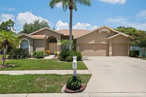 4380 Ridgemoor Dr N, Palm Harbor, FL 34685