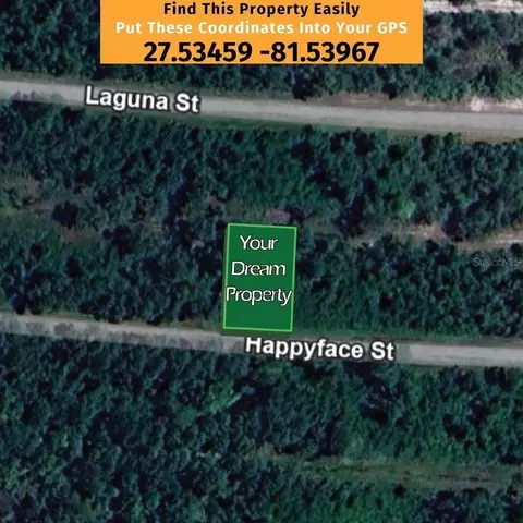 7356 Happyface St, Sebring, FL 33872