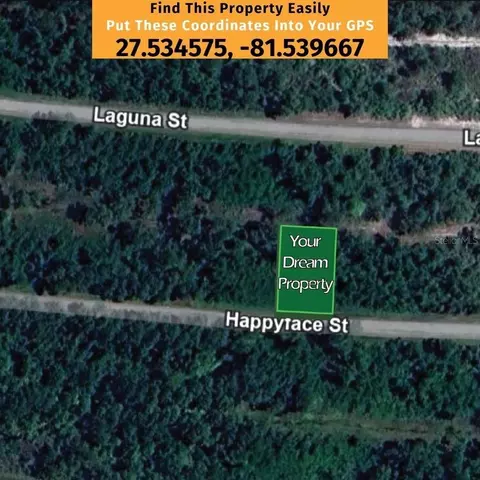 7360 Happyface St, Sebring, FL 33872