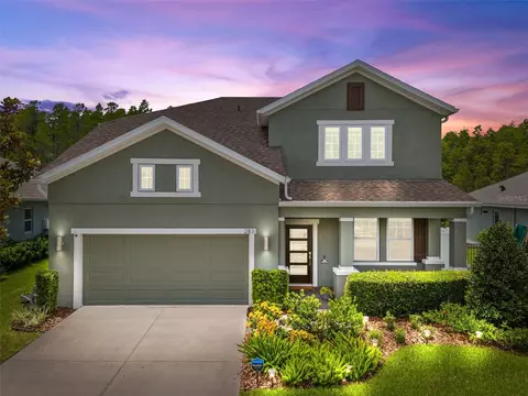 2831 Satilla Loop, Odessa, FL 33556