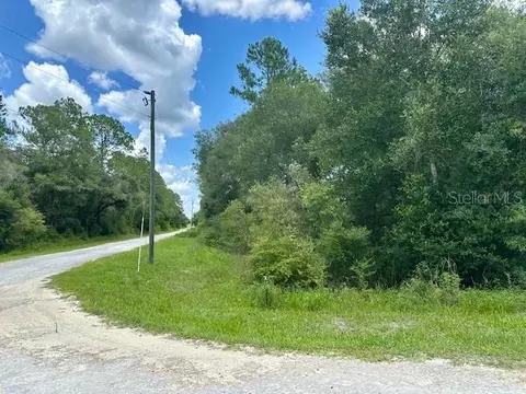 Chipstone Street, Webster, FL 33597