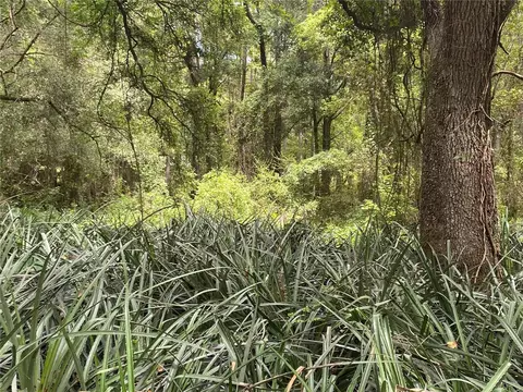 3168 Mckethan Rd, Dade City, FL 33523