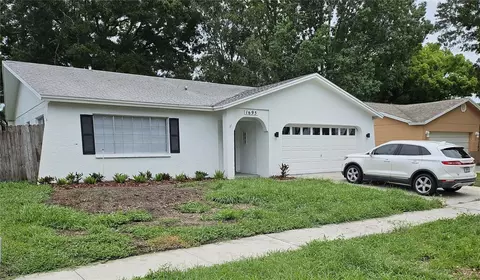 1695 E Orangecrest Ave, Palm Harbor, FL 34683