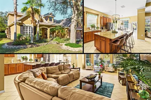 2987 Northfield Dr, Tarpon Springs, FL 34688