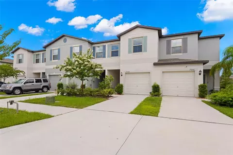 7203 Sweet Alyssum Ct, Tampa, FL 33619