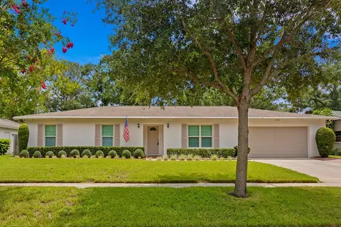 13313 Lake George Ln, Tampa, FL 33618