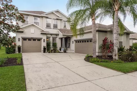 8911 Handel Loop, Land O Lakes, FL 34637
