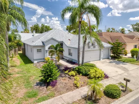 344 Wood Ibis Ave, Tarpon Springs, FL 34689