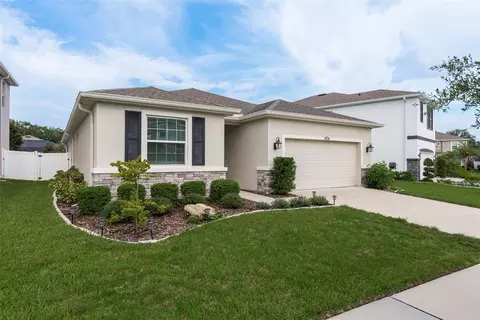 10907 Kidron Valley Ln, Tampa, FL 33625