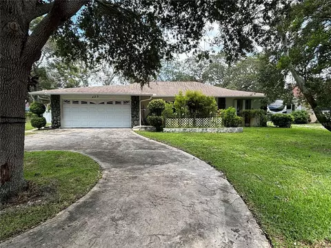 420 Wayfarer Ct, Tarpon Springs, FL 34689