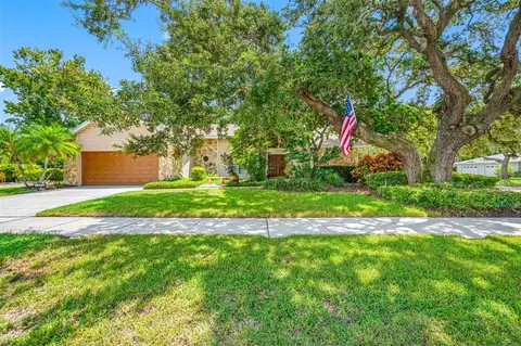 1100 Bramblewood Dr, Safety Harbor, FL 34695
