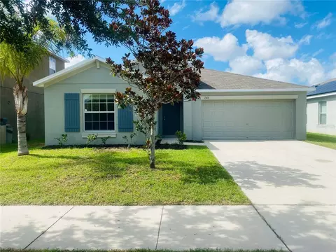 1515 Climbing Dayflower Dr, Ruskin, FL 33570