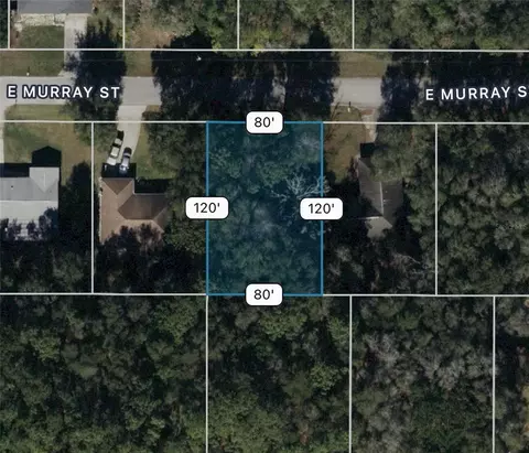 3404 E Murray St, Inverness, FL 34453