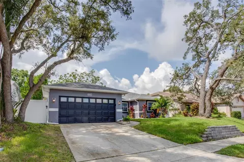 1054 Rolling Oaks Ave, Tarpon Springs, FL 34689