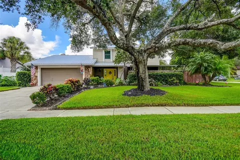 12920 Rain Forest St, Temple Terrace, FL 33617