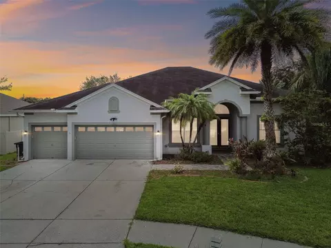 3205 Hanging Vine Ct, Land O Lakes, FL 34639