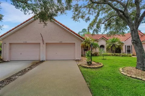 1133 Woodleaf Ct, Palm Harbor, FL 34684