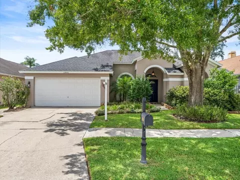 12816 Big Sur Dr, Tampa, FL 33625