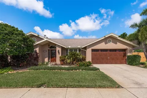 1203 Lawnside Ave, Safety Harbor, FL 34695