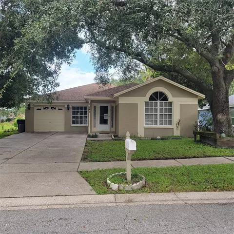 1741 Woodcut Dr, Lutz, FL 33559