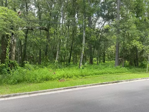 S Lemon Avenue, Brooksville, FL 34601
