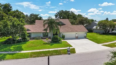 17519 Tally Ho Ct, Odessa, FL 33556