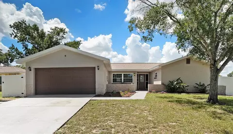 1210 Bristolwood St, Brandon, FL 33510