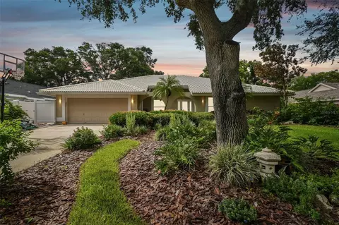 1534 Sand Hollow Ct, Palm Harbor, FL 34683