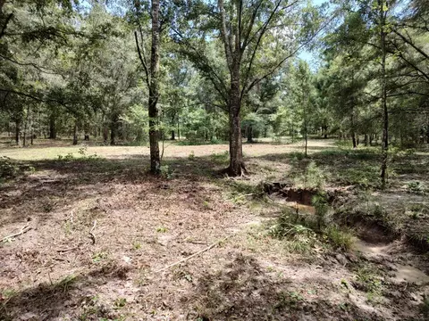 0 Patriot Dr, Brooksville, FL 34601