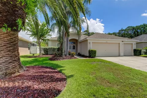 14515 Corkwood Dr, Tampa, FL 33626