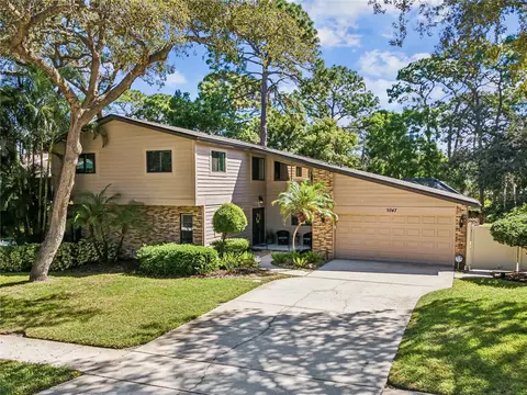 3047 Enisglen Dr, Palm Harbor, FL 34683